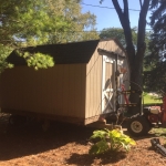 Removing shed from back yard